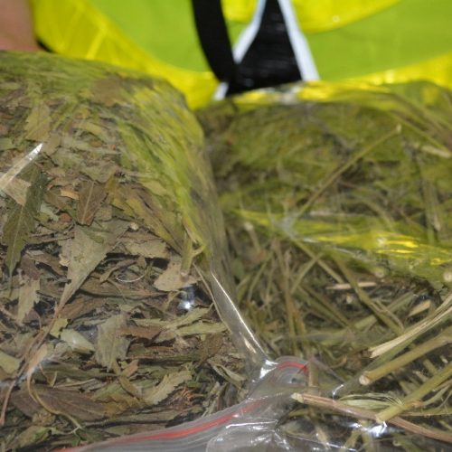 Policjanci z Komisariatu Policji w Zabierzowie ujawnili niemal 2,5 kg suszu marihuany
